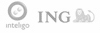 inteligo